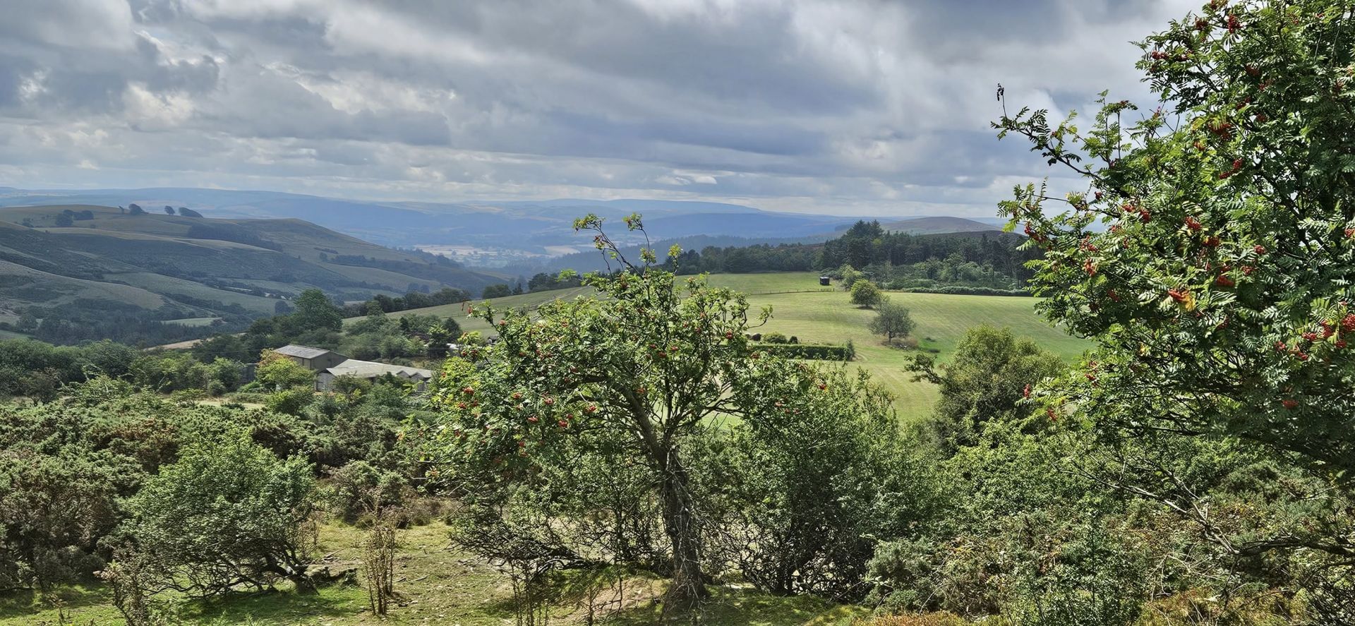 Descending on Shropshire Way